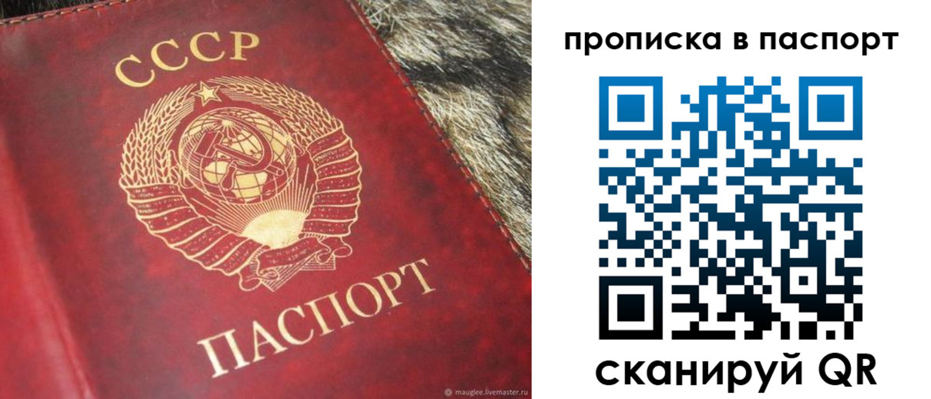временная регистрация для всех в Майкопе